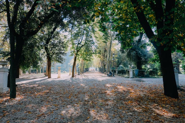 Paths and trees in Villa Borghese